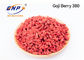 Polvo dulce secado de Wolfberry del chino del BNP de Goji Berry Extract del gusto