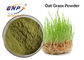 Hierba de avena orgánica de la avena fatuo de 80 Mesh Fruit Vegetable Powder Supplement Juice Powder