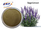 Extracto de Supply Sage Extract Powder Clary Sage del fabricante