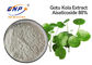 Extracto asiatica de Asiaticoside el 80% Centella para la piel Gotu blanco Kola Extract Powder