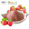 Fresa soluble en agua Juice Powder Strawberry Powder