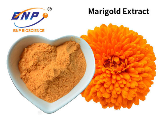 Aditivo alimenticio amarillo del colorante de la luteína del polvo el 10%~80% del extracto de la maravilla Tagetes Erecta L.