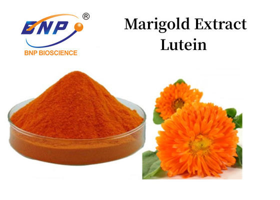 Polvo de luteína de extracto de caléndula 5% -90% Polvo amarillo anaranjado